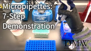 Micropipettes 7Step Demonstration [upl. by Eillak]