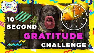 10 Second Gratitude Challenge [upl. by Pulsifer]