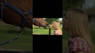 Horse video horse horserace lrc racingsports [upl. by Etteinotna]