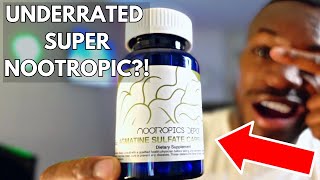 Agmatine Sulfate Review  My Experience amp Results [upl. by Verdi]