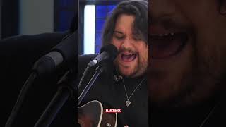 Wolfgang Van Halen doubletap acoustic solo wolfgangvanhalen mammothwvh shorts [upl. by Dymphia]