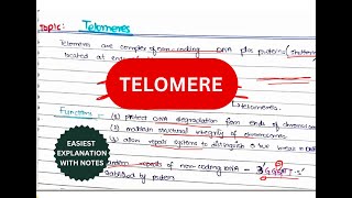 What are telomeres  Telomerase Replication  Telomeres and Telomerases  urduhindi [upl. by Ealasaid]