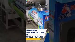 Dispensing through QR code scanner in purelo milk atm dispensingmachine vendingmachine business [upl. by Dyal]