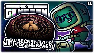 NEW SECRET FLOOR BELLY OF THE BEAST  Lets Play Enter the Gungeon Mod the Gungeon  Part 35 [upl. by Nylrats]