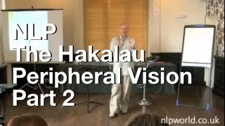 The Hakalau  Peripheral Vision Part 2 [upl. by Nobie]