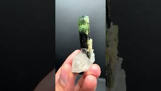 Tourmaline with Quartz from Afghanistan  Fine Art Minerals  Tourmaline [upl. by Seaden]