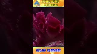 Keladi Kanmani Video Song  Pudhu Pudhu Arthangal Movie  Ilaiyaraaja  Rahman  Sithara  YTShorts [upl. by Legnalos]