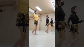 Mambo Italiano Line Dance맘보 이탈리아노 라인댄스Legend SongBette MidlerHigh Beginner [upl. by Jarlathus904]