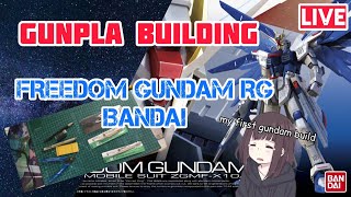 GUNPLA Building RG FREEDOM GUNDAM ZAFT Mobile Suit ZGMFX10A Bandai [upl. by Auod]