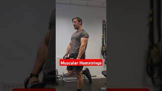 Build your Hamstrings In 3 simple Steps legworkout [upl. by Arraeis]