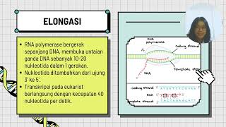 STUDENT PROJECT B7 THE ROLE OF GENE PROMOTOR IN TRANSCRIPTION PROCESS [upl. by Edison20]