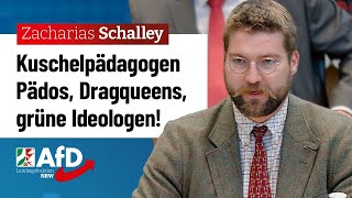 Kuschelpädagogen Pädos Dragqueens grüne Ideologen – Zacharias Schalley AfD [upl. by Tnecillim]