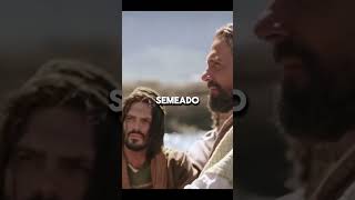 Jesus explica a parábola do semeador ExplicaçãoDaParábola PalavraDeDeus FrutosEspirituais [upl. by Haelam]