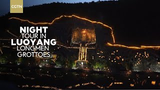 Night Tour Wonders at Luoyang’s Longmen Grottoes [upl. by Aldarcy]