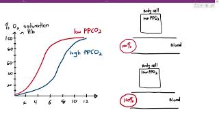 812 Bohr Shift Cambridge AS amp A Level Biology 9700 [upl. by Rochester]