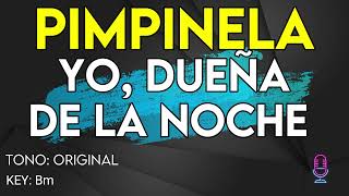 Pimpinela  Yo Dueña De La Noche  Karaoke Instrumental [upl. by Arundel414]