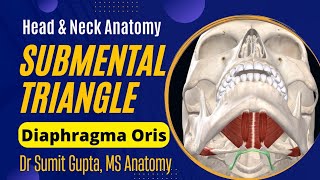 SUBMENTAL TRIANGLE  Anatomy [upl. by Tzong394]