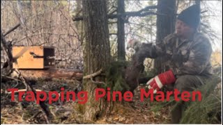 Canadian Trapline Adventures part 8 setting up a new area for pine marten [upl. by Murat]