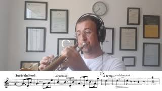 Mahler Symphony n 3 Posthorn  Erico Fonseca trumpet [upl. by Nyrhtak]