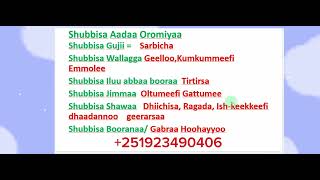 Afaan Oromoo Jechoota qubee dachaafi hudhaa qaban adda baasuu study Afaan OromooAmharic English [upl. by Pompea396]