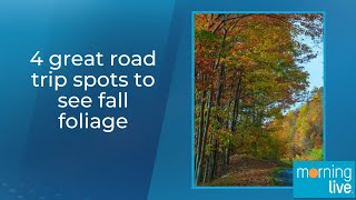 4 great road trip spots to see fall foliage [upl. by Annayr]