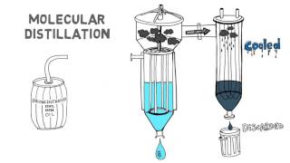 Refining Fish Oil [upl. by Cassaundra]