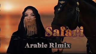 Arabic Rimix by music creator 02  Birds of Prey 2024 Joker SerenaSafari song [upl. by Skelly]