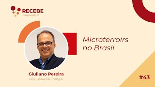 043 – Temporada 3 – Giuliano Pereira  Microterroir [upl. by Lonyer]