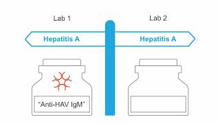 Important lab markers in HAV infection [upl. by Nnaeus365]