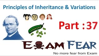 Biology Inheritance Principle part 37 Mutations class 12 XII [upl. by Henning79]