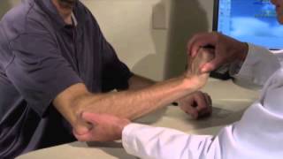 Tennis Elbow Lateral Epicondylitis [upl. by Australia]