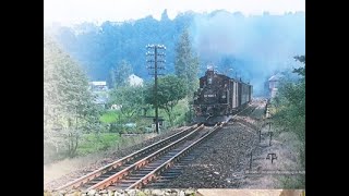 Spurwechselbahnhof Wolkenstein Zschopautalbahn Schmalspurbahn Jöhstadt Dreischienengleis [upl. by Annaynek]