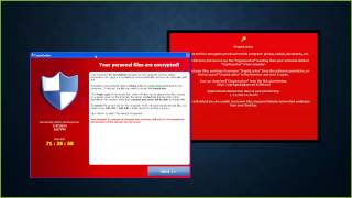 OpenNSM Reverse Engineering Cryptolocker  Brandon Tansey [upl. by Grayson820]