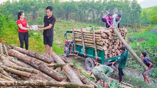 Buy Wood From Villagers On High Hills and Use Trucks To Transport and Sell To Traders  Daily Farm [upl. by Sarnoff]