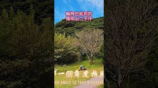 輪椅也能到的陽明山二子坪遊客陽明山擎天崗七星山冷水坑二子坪新北市小油坑淡水夕陽銀髮族親子遊去哪玩台北大縱走景點爬山健行筆記台北環騎ubike [upl. by Sulokcin79]