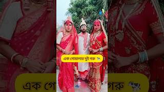 বিয়ে in Bengali Serial🤣Star Jalsha🔥BongStar Sandipshorts funny [upl. by Cinimod]