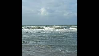 Ostend beach 11112024 oostende strand [upl. by Ttegirb256]