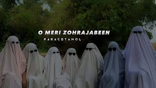 O Meri Zohra Jabeen 😎  Slowed Reverb [upl. by Brandi]