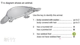 DICHOTOMOUS KEY  PAST PAPER DISCUSSION  IGCSEGCSE  BIOLOGY  httpswwwl2htuitioncom [upl. by Stulin]