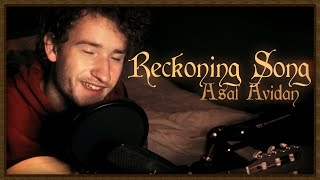 Reckoning Song  Asaf Avadan  Cover by Pottekes [upl. by Cherie629]