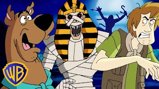 Whats New ScoobyDoo  Mummy Scares Best 😱  wbkids​ [upl. by Aldredge]