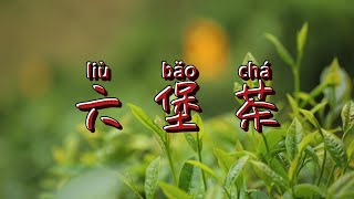 Is Liubao tea the most mysterious tea Intangible Cultural Heritage [upl. by Bitthia]