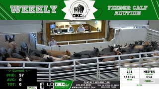 7242024  OKC West Feeder Calf Auction [upl. by Pascha]