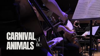 SaintSaëns Carnival of the Animals l FINALE [upl. by Esahc]