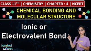 Class 11th Chemistry  Ionic or Electrovalent Bond  Chapter 4  NCERT [upl. by Tucky]