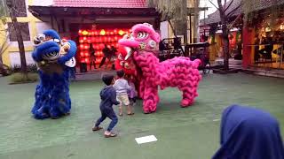 Akibat joget sembarangan seorang anak kecil dimakan barongsai [upl. by Buckels989]