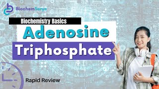 Adenosine Triphosphate ATP Rapid Review [upl. by Yrred285]