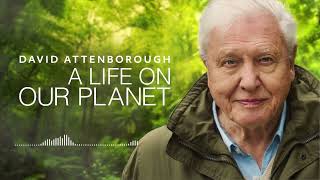 David Attenborough  A Life On Our Planet  Audio Book [upl. by Keele]