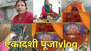 कार्तिक महीने का एकादशी व्रत एवं तुलसी विवाहvlog🪔 aaj mera ekadashi vrat hai aaj Tulsi Puja ek sath [upl. by Ahtebat320]