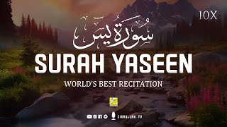 Worlds most Amazing recitation of Surah Yasin Yaseen سورة يس  Zikrullah TV [upl. by Ellora745]